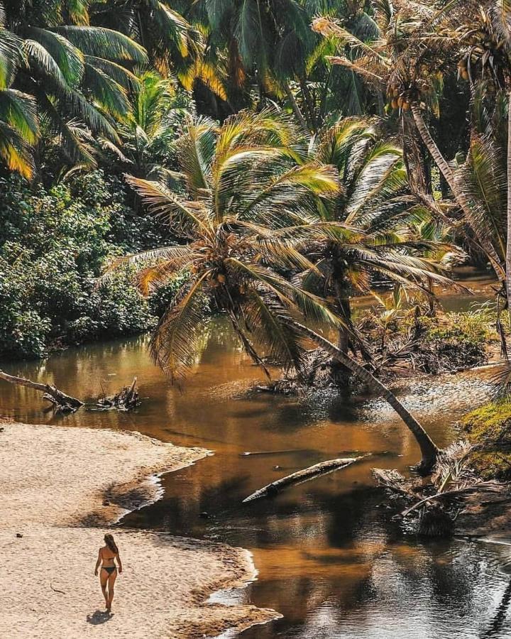 Jasayma Dentro Del Parque Tayrona Zaino